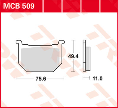 MCB509.jpg