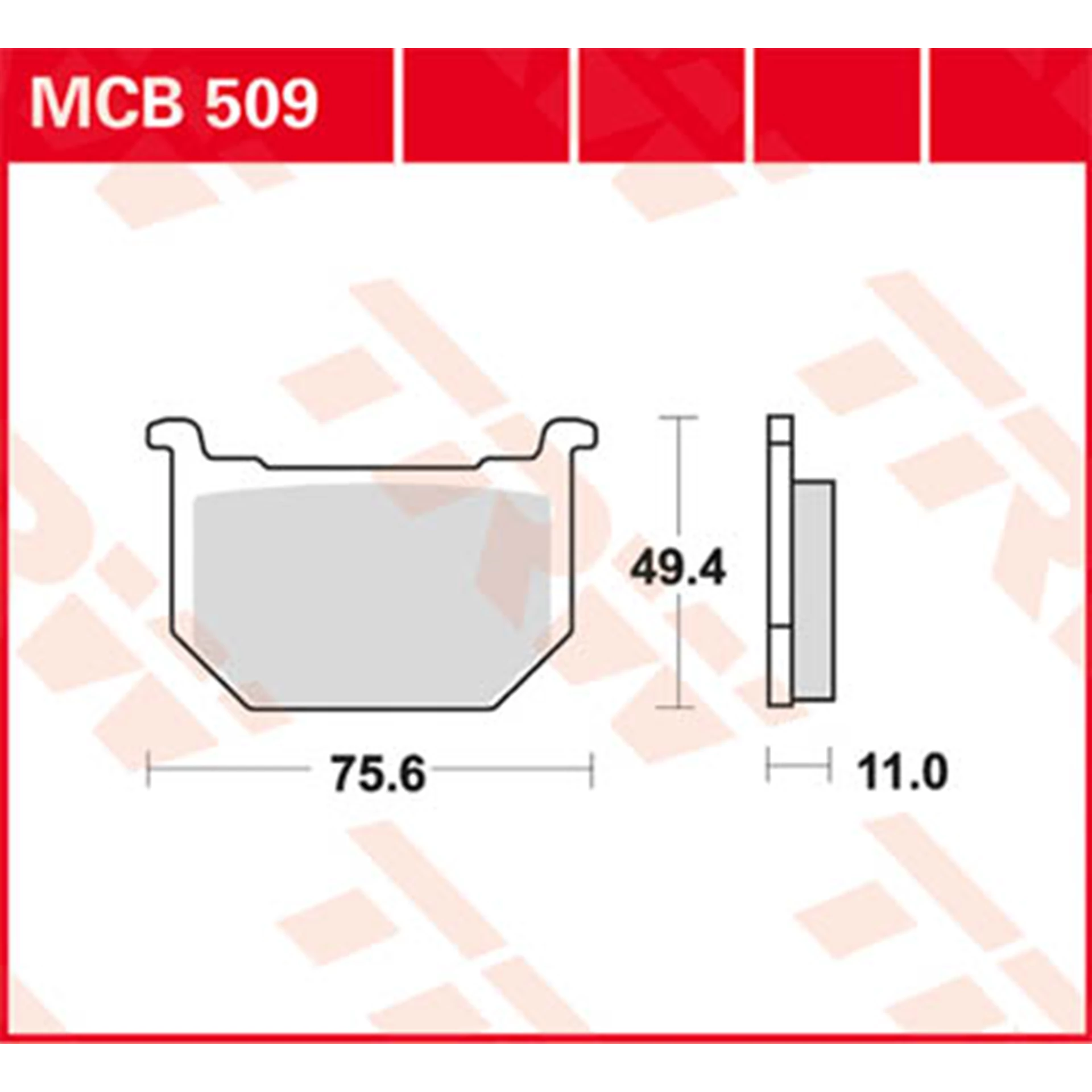 MCB509.jpg