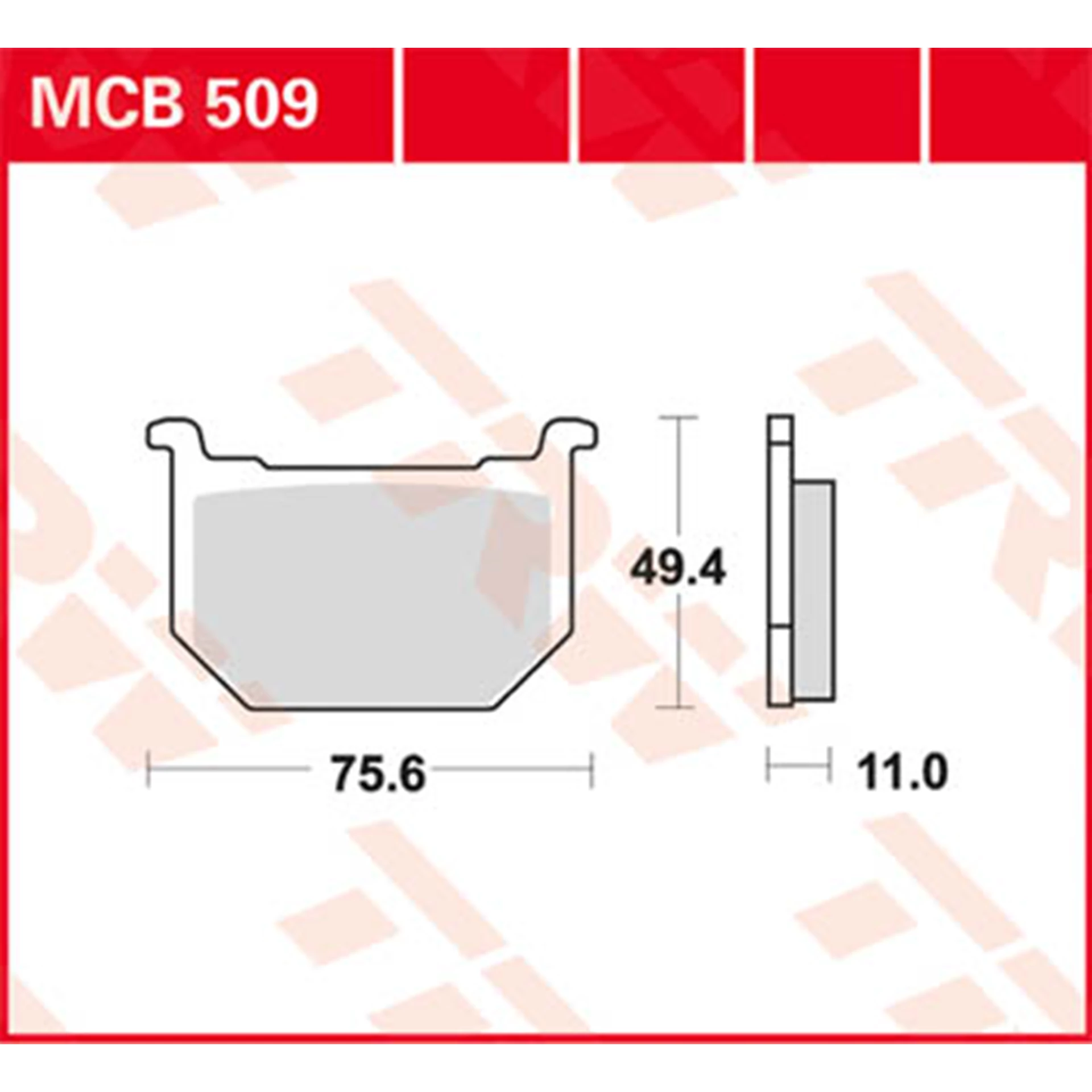MCB509.jpg