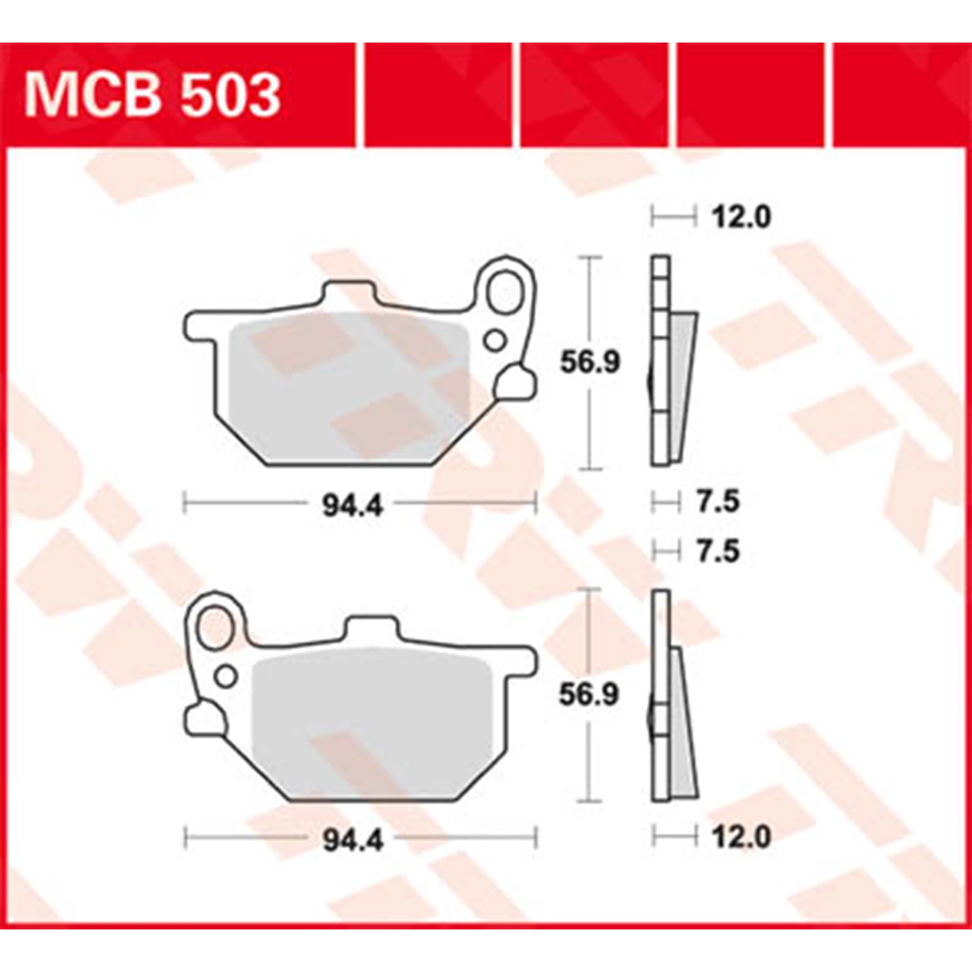 MCB503.jpg